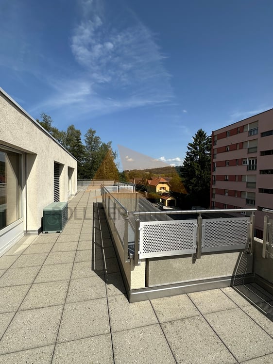 A VENDRE magnifique attique de 5.5 pièces et annexes 4