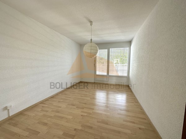 A VENDRE magnifique attique de 5.5 pièces et annexes 7