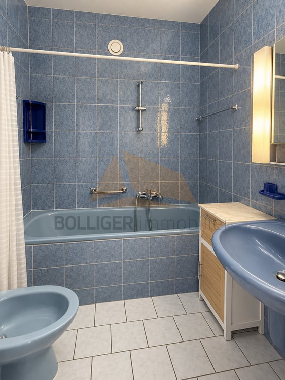 A VENDRE Appartement de 2 pièces en PPE et garage-box 9