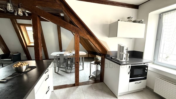 A VENDRE APPARTEMENT DE CARACTÈRE DE 3.5 PIÈCES ET COMBLES AMÉNAGÉS 7