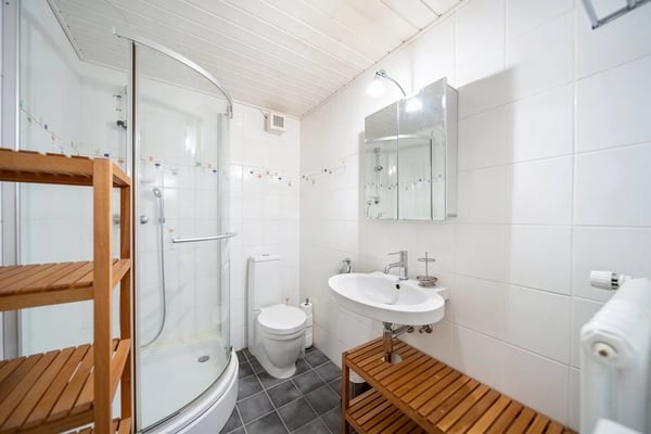 Peney-Dessus Spacieux duplex 2 pièces avec jardin 10