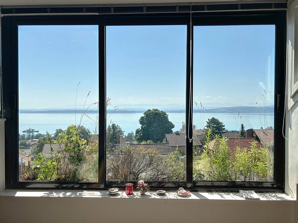 Appartement avec vue panoramique sur le lac et les alpes 2