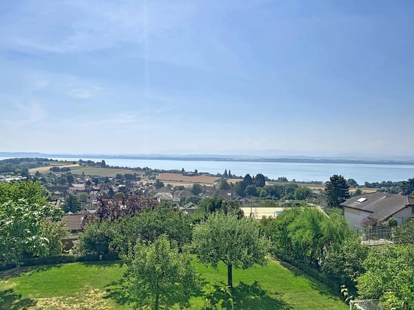 Un écrin de verdure avec vue panoramique sur le lac et les alpes 1