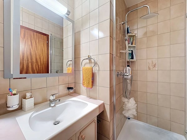 Splendide 1.5 pièces avec carnotzet privé 5