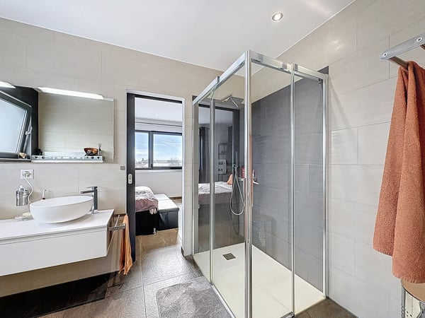 Elegance et modernité à Vétroz 13