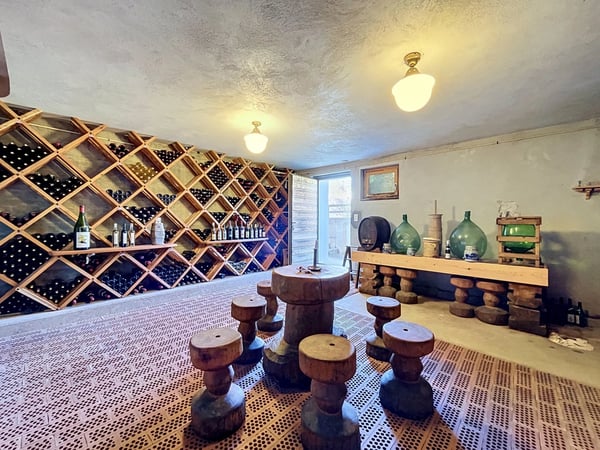 Grande maison avec 2 appartements et vaste garage 12