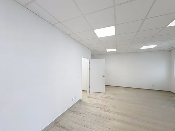 Surface modulable au fort potentiel 6