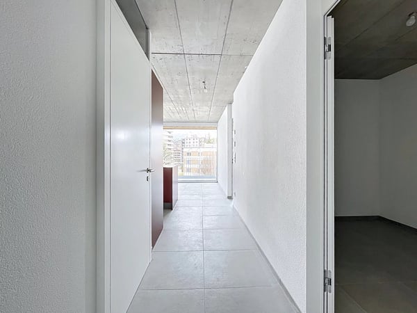 Attique lumineux avec vaste balcon 5