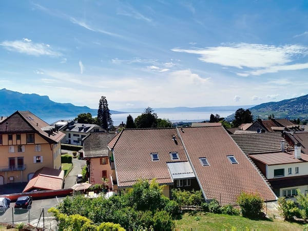 1.5 pièces avec mezzanine et vue lac ! 1