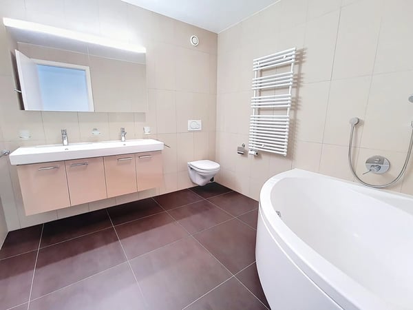 Superbe 1.5 pièces avec jardin, terrasse et échappée sur le lac 4