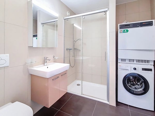 Superbe 1.5 pièces avec jardin, terrasse et échappée sur le lac 6