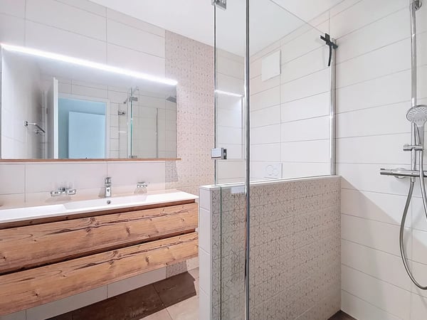 Appartement de 1.5 pièces dans le calme de Chessel 7