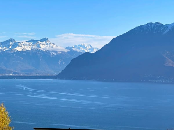 Grandvaux ! Vue spectaculaire sur le Lac ! 9