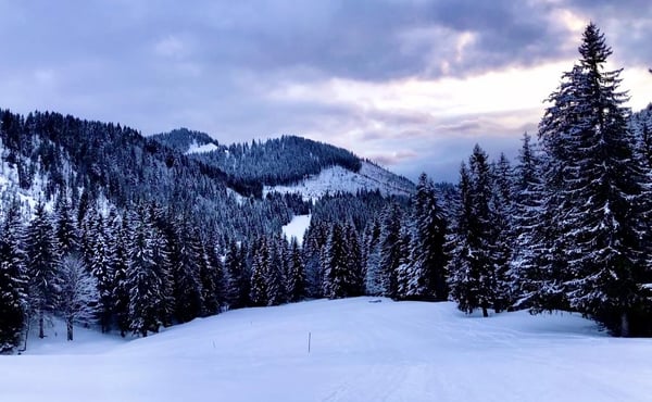 Vivre la montagne aux Paccots ! 5