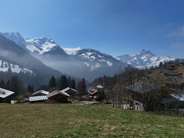 Terrain à vendre à Gryon avec permis de construire 1