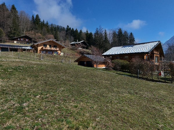 Terrain à vendre à Gryon avec permis de construire 2