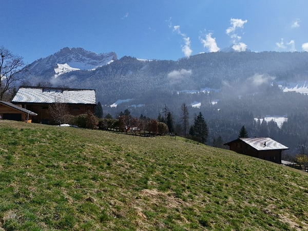 Terrain à vendre à Gryon avec permis de construire 5