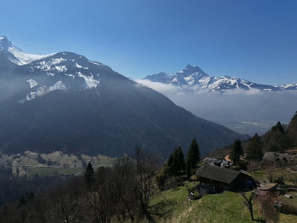 Terrain à vendre à Gryon avec permis de construire 7