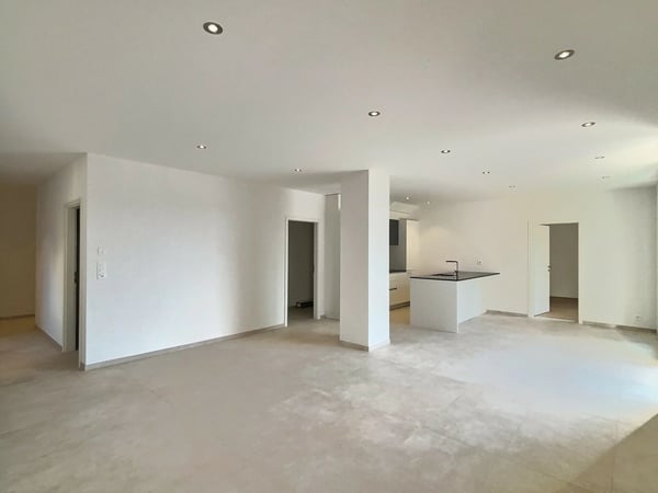 24 29 Magnifique appartement de 4.5 pièces au rez - Grande terrasse 3