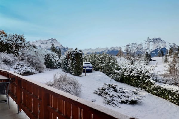 Magnificent chalet in a green setting, guaranteed charm 3