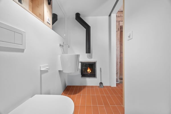 An exceptional chalet between plains and mountains, in the heart of Ollon municipality 5