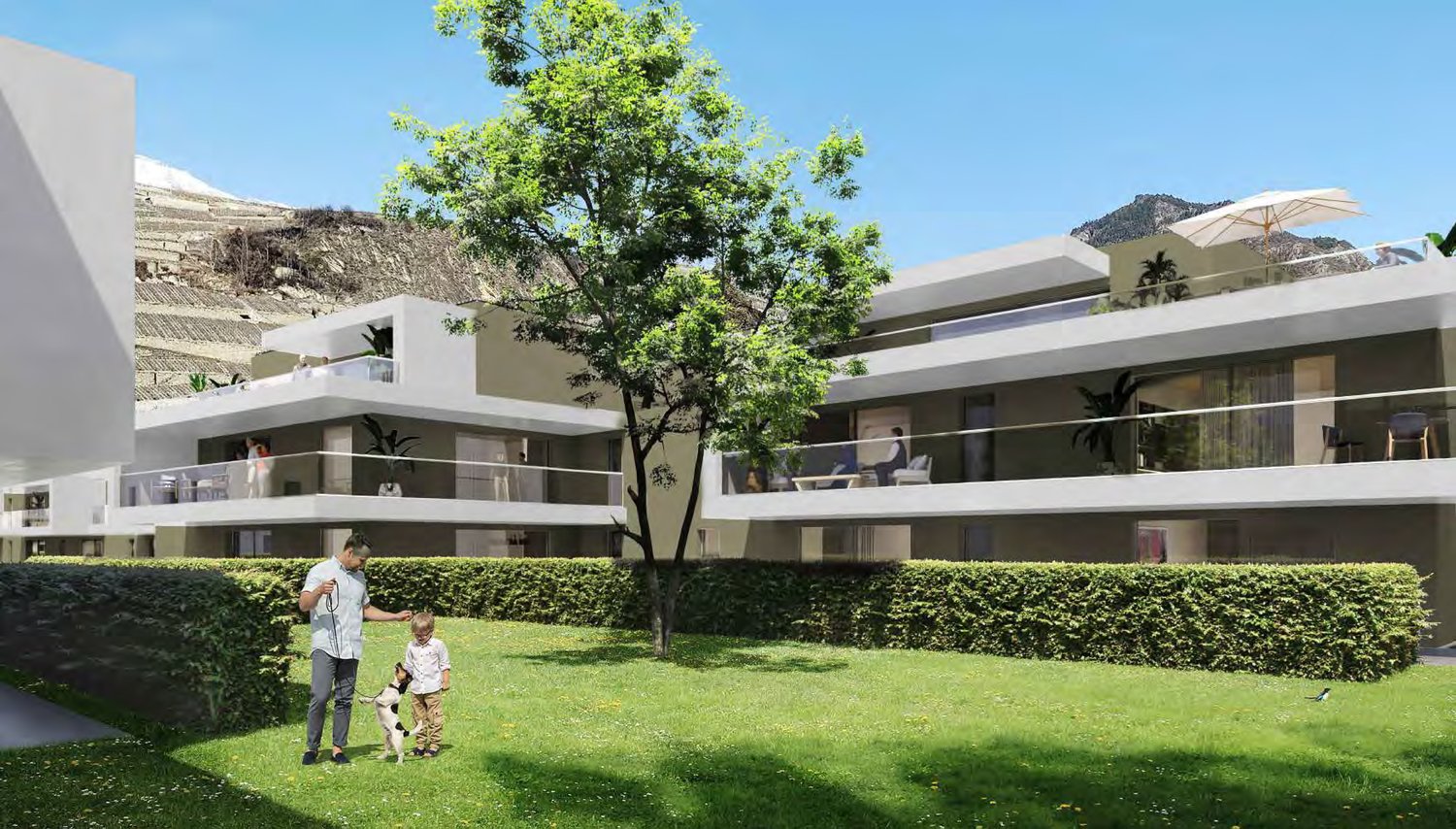 Apartment complex with balconies and a tree in the front.