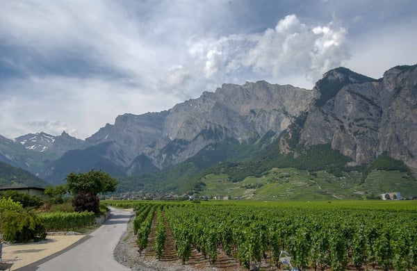 Terrrain équipé avec projets de villas à construire 6