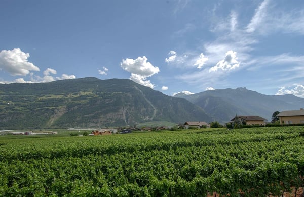 Terrrain équipé avec projets de villas à construire 4