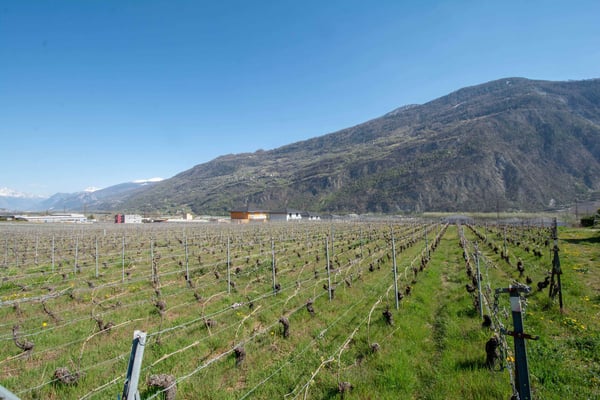 Terrrain équipé avec projets de villas à construire 3