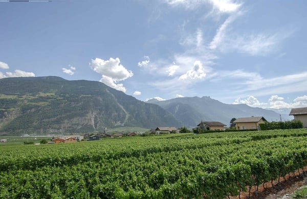 Terrrain équipé avec projets de villas à construire 10