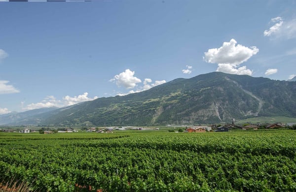 Terrrain équipé avec projets de villas à construire 9