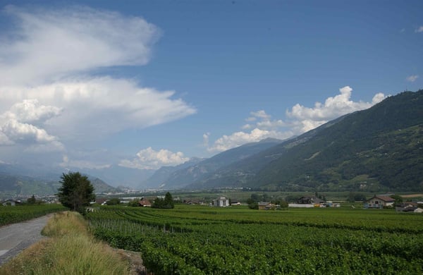 Terrrain équipé avec projets de villas à construire 8