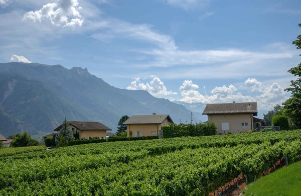 Terrrain équipé avec projets de villas à construire 7