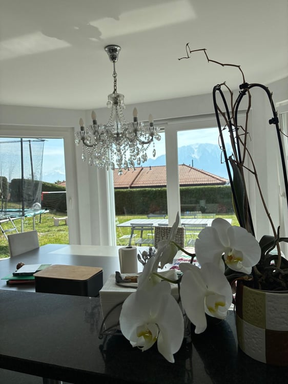 Magnifique villa de 5.5 pièces à louer à Blonay - Saint-Légier 4