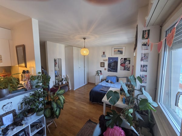 SALLAZ - Charmant appartement de 1,5 pièce avec piscine dans un cadre verdoyant 3