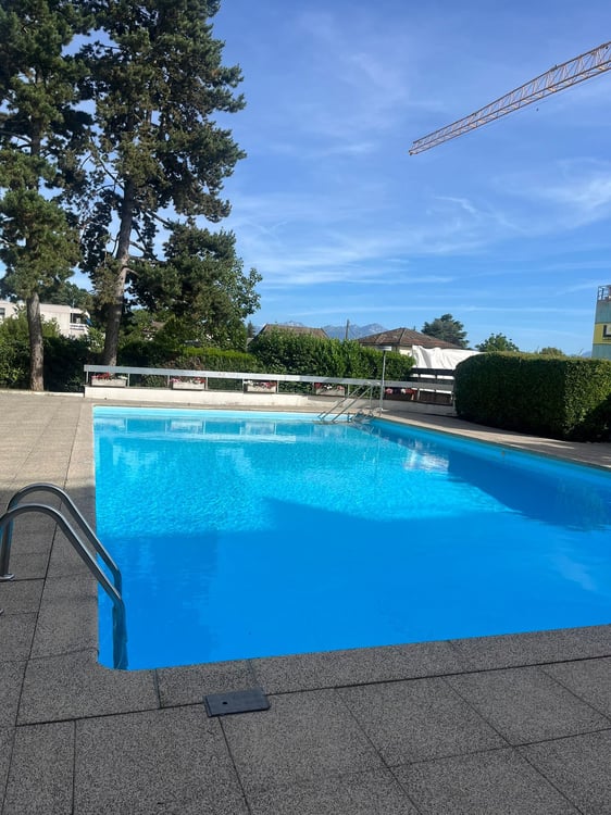 SALLAZ - Charmant appartement de 1,5 pièce avec piscine dans un cadre verdoyant 12
