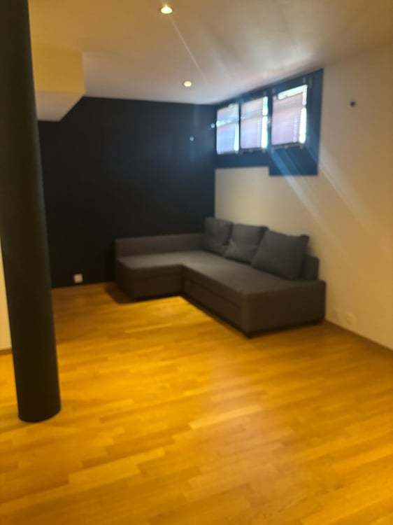 Local polivalent de 33 m² équipé d'une cuisine et une salle d’eau 3