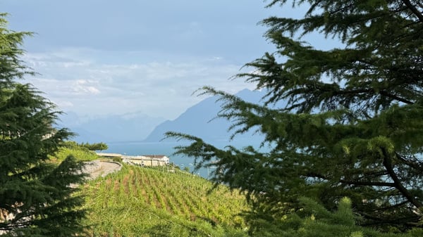 Lumineuse villa de standing dans cadre d’exception à Grandvaux, avec vue sur le lac et les vignobles 4