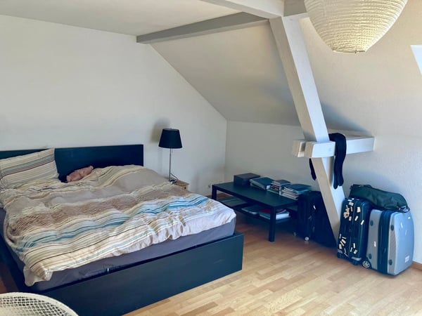 3-Zimmer-Dachwohnung mit Balkon in Binningen 6