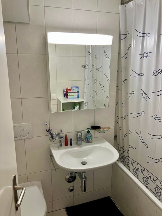 3-Zimmer-Dachwohnung mit Balkon in Binningen 4