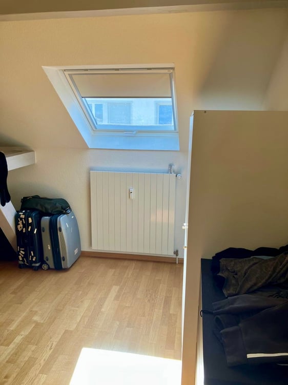 3-Zimmer-Dachwohnung mit Balkon in Binningen 5