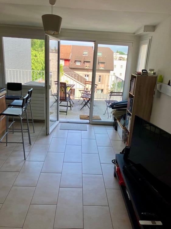 3-Zimmer-Dachwohnung mit Balkon in Binningen 1
