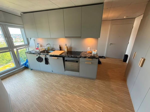 Stilvolles 2.5-Zimmer-Loft-Apartment auf der 9. Etage in Zürich-Triemli 3