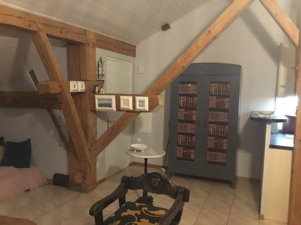 Magnifique  appartement de 1.5 pièces avec cachet 3