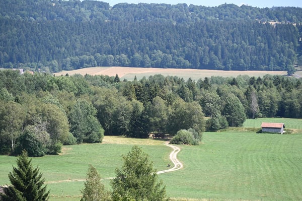 Appartement lumineux au milieu de la campagne et proche des commodités 1