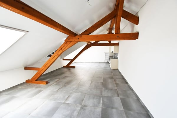 Appartement lumineux au milieu de la campagne et proche des commodités 4