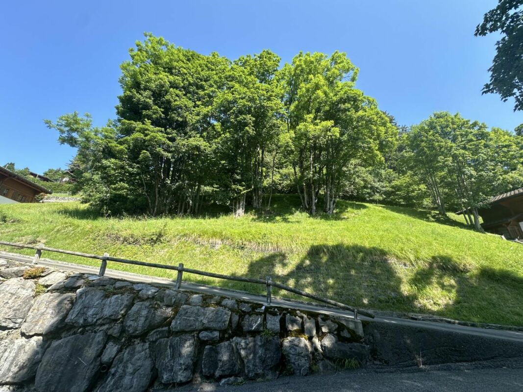 Terrain à Chesières