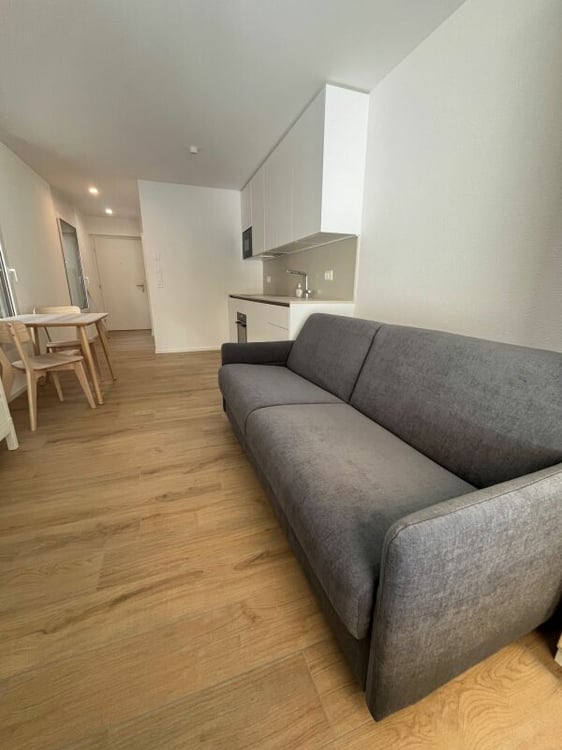 GRENAT-GRYON - STUDIO A LOUER A L'ANNEE OU A LA SAISON D'HIVER 6