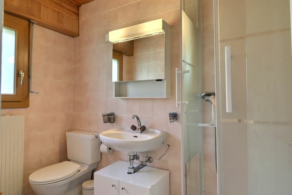appartement de 4 pièces au centre de Villars 19