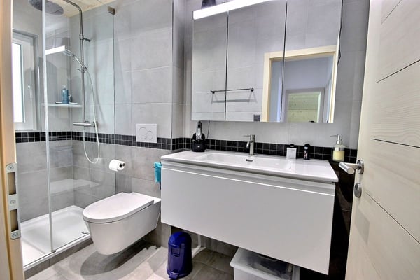 MAGNIFIQUE CHALET DE 2 APPARTEMENTS 6
